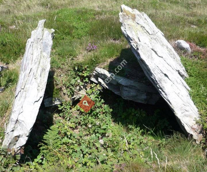 Plataforma Defensa Patrimonio Das Pontes