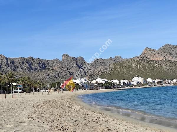 Platja del Port de Pollença