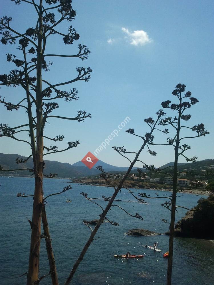 Platja Port De La Vall