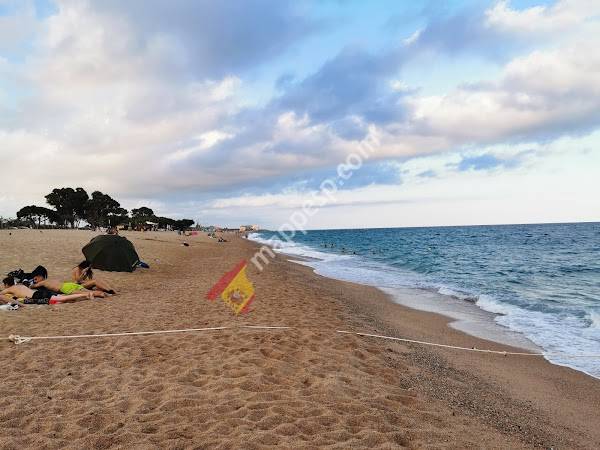 Playa de los pinos