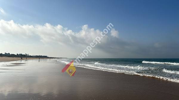 Playa el Palmar