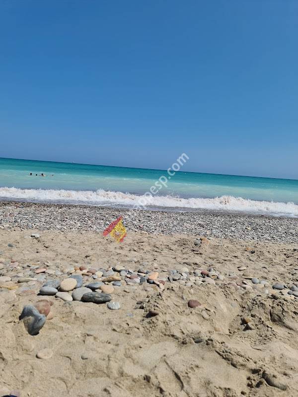 Playa Nudista Almardá