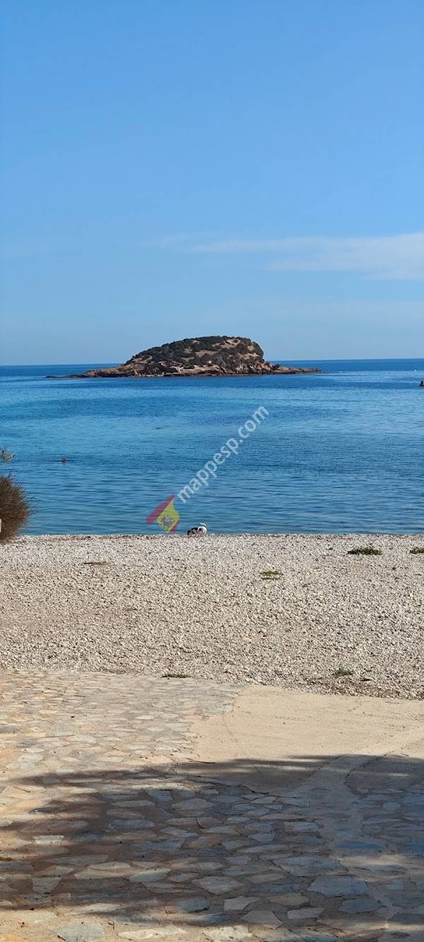Playa perros