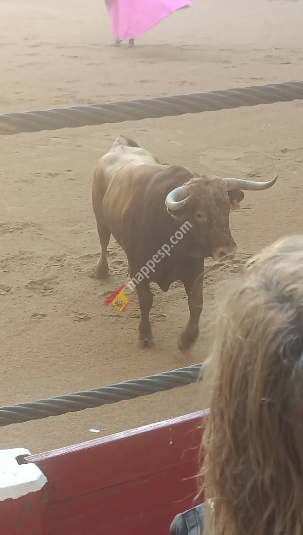 Plaza de Toros de Íscar