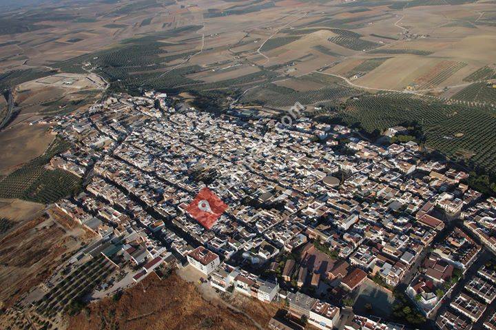 Policía Local de Montalbán de Córdoba