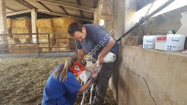 Policlínica Veterinaria La Atalaya