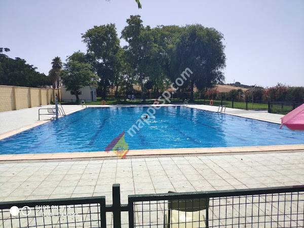 Polideportivo Los Molares