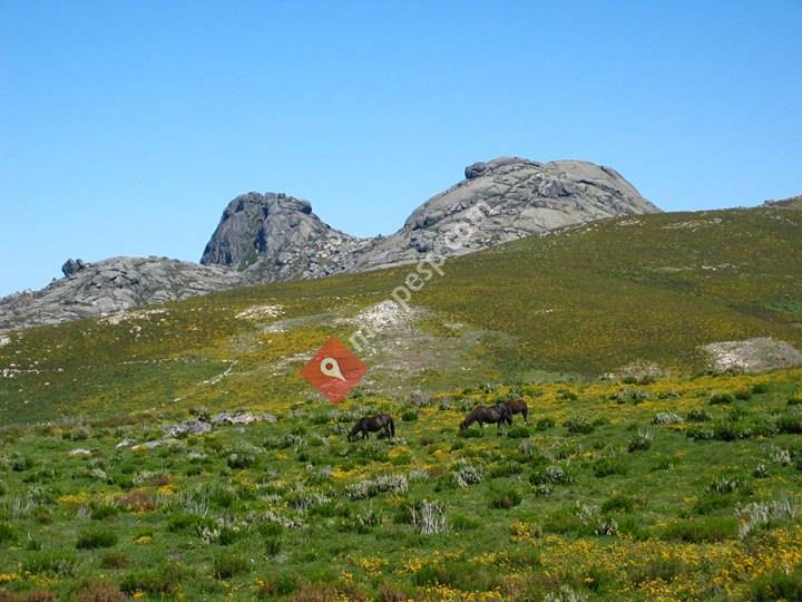 Portas do Xurés