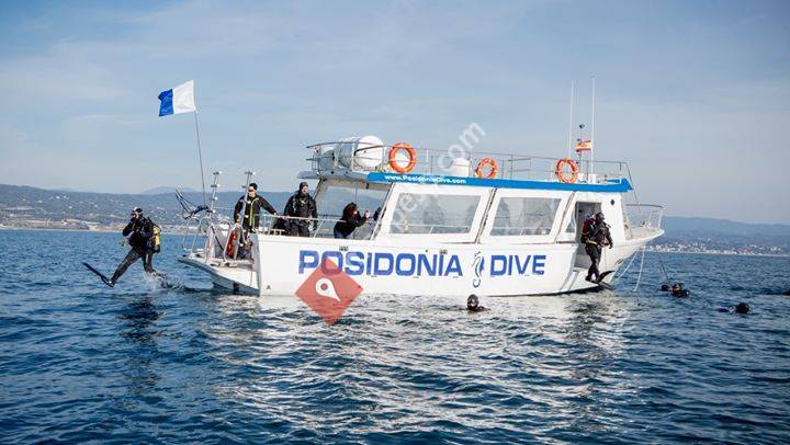 Posidonia Dive Port Balis
