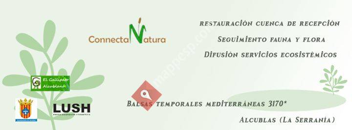 Projecte Ofegabous