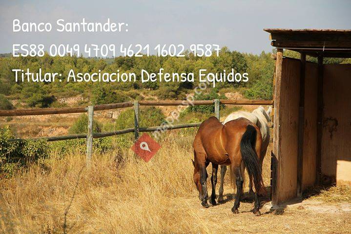 ProtectorA DE Caballos ADE