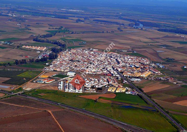 PSOE Talavera La Real