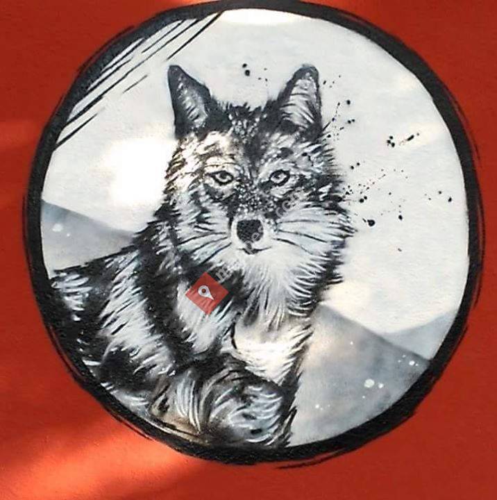 Pub Coyote
