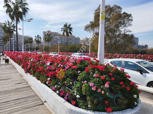 Puente de las Flores- Alcaldesa Rita Barberá