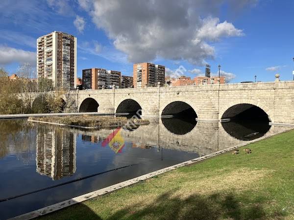 Puente de Segovia