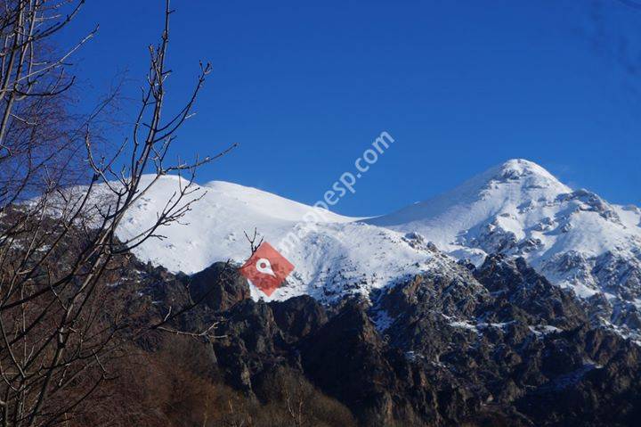 Queralbs