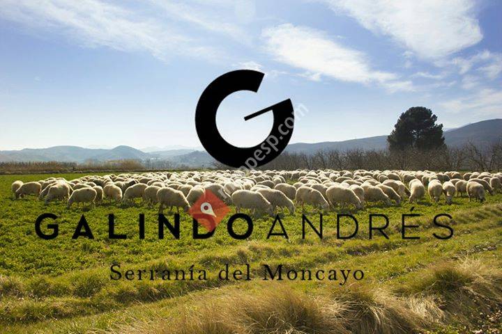 Quesos Galindo Andres