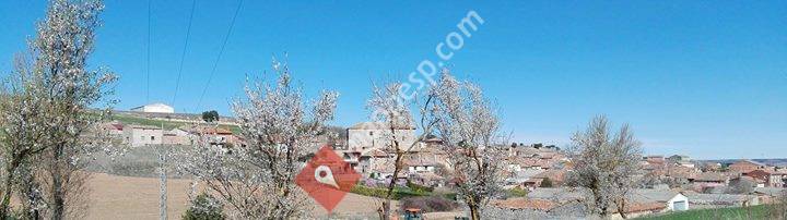 Quintanilla de la Mata