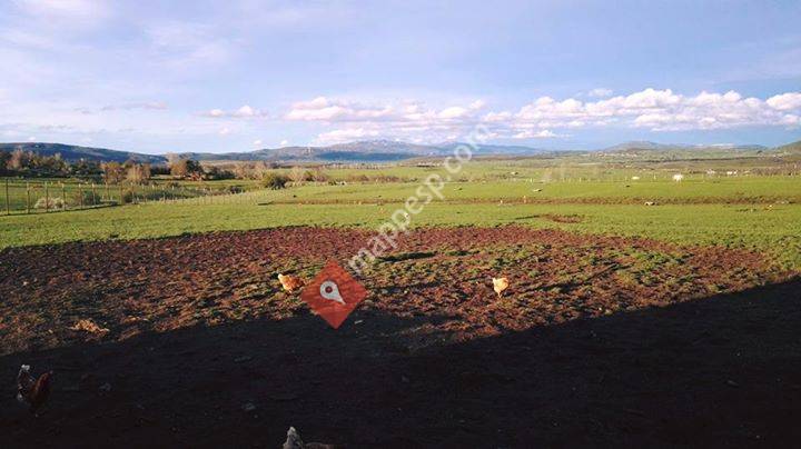 Quintanilla De Santa Gadea, Castilla y León, Spain