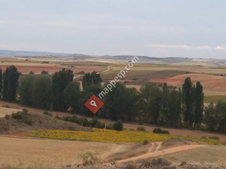 Quintanilla De Tres Barrios, Castilla y León, Spain