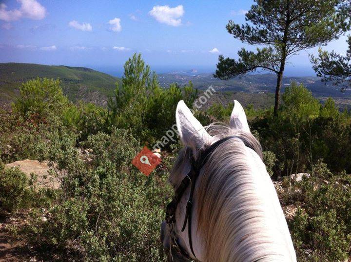 Rancho Fino Mallorca