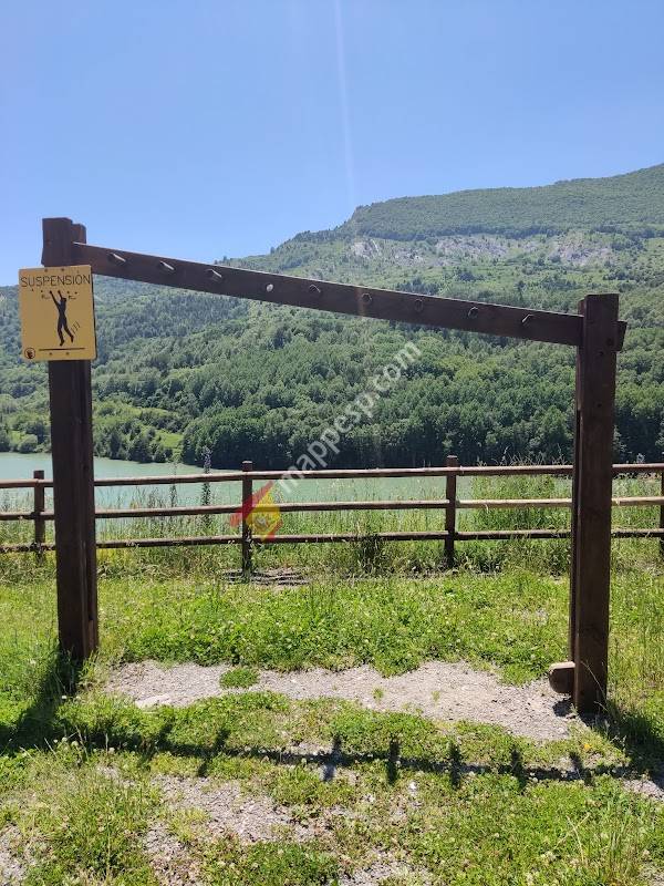 Área de actividad fisica