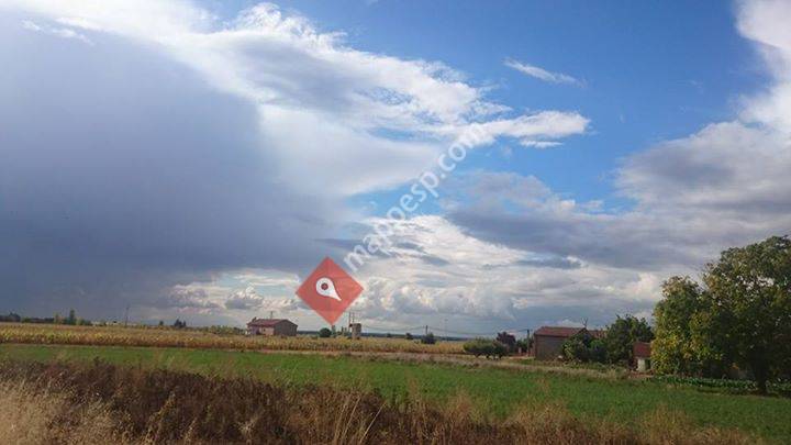 Rebollar De Los Oteros, Castilla y León, Spain