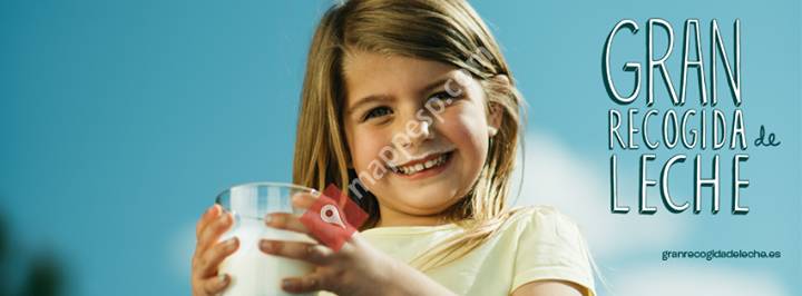 Recogida de Alimentos