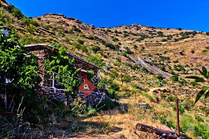 Refugio Arrabales