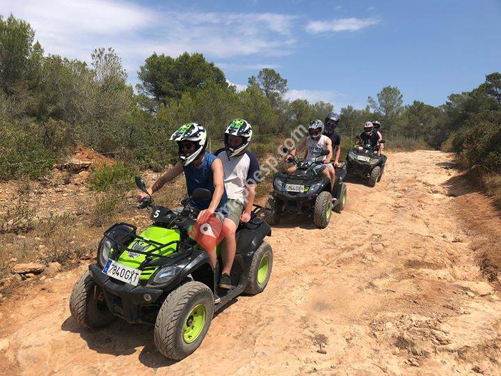 Rent A Racing Quad
