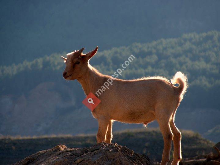 Reserva de Valdeserrillas