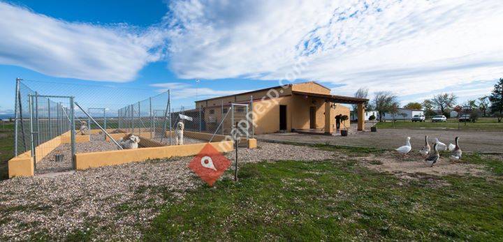 Residencia Canina El Zarzoso