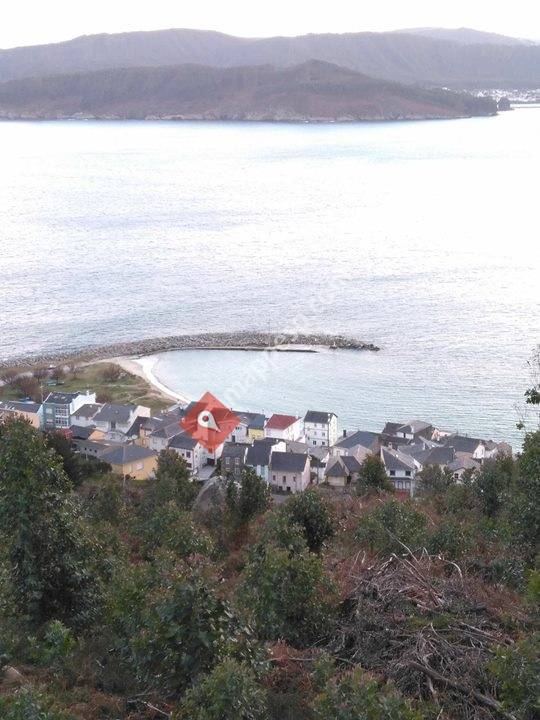 Restaurante La Marina