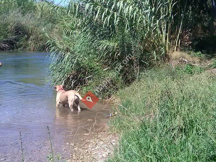 Rio de Bugarra