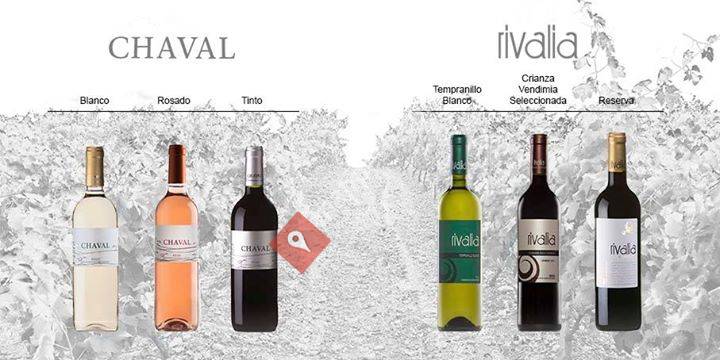 Rivalia Bodegas y Viñedos