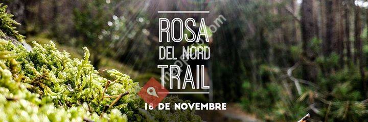 Rosa del Nord