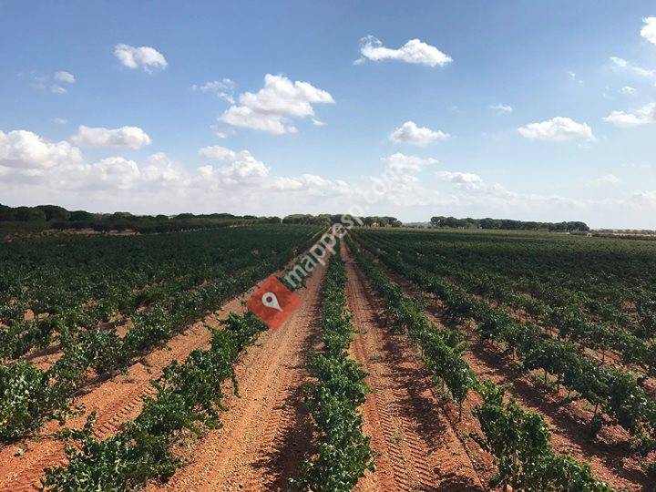 Rubielos Bajos, Castilla-La Mancha, Spain