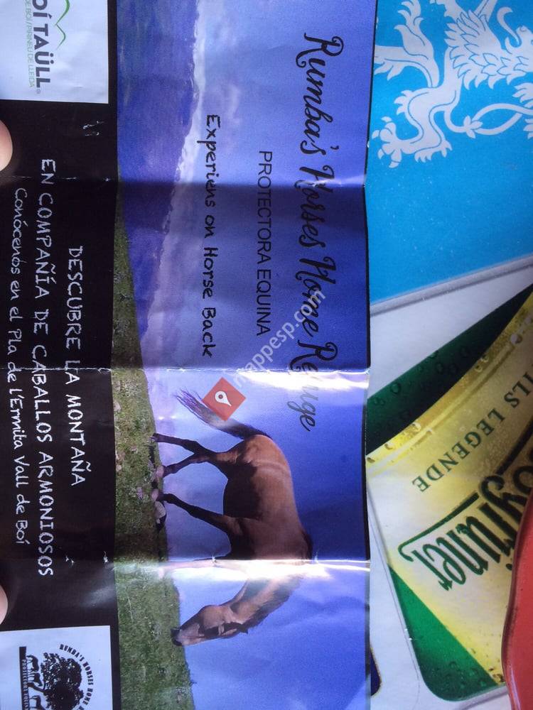 Rumba's Horses Home Refuge