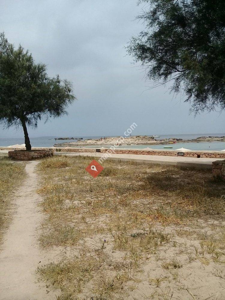 Sa Palmera