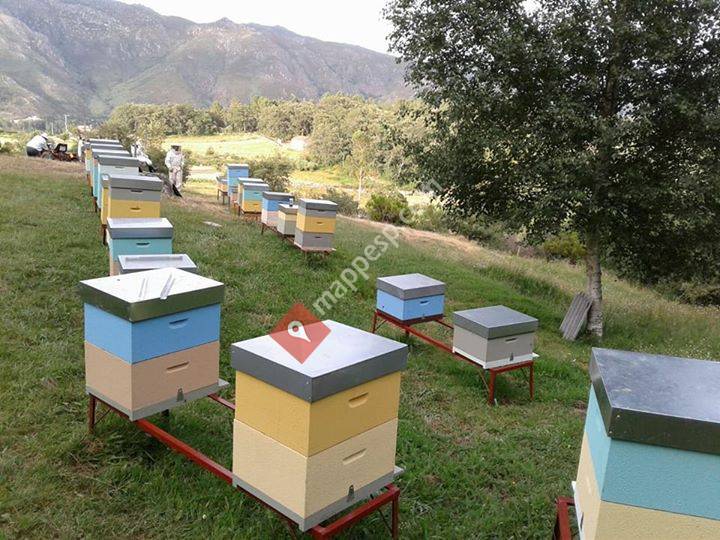 Sabores da Miña Terra