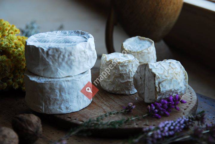 Santa Gadea Queso Ecológico