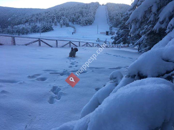 Santaines Punto de Nieve