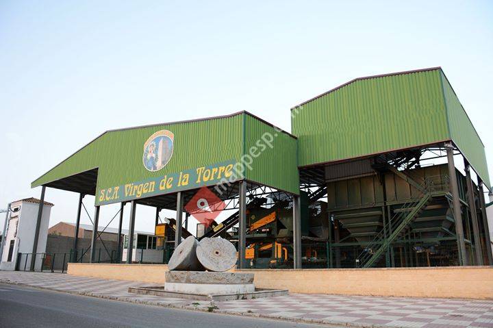 SCA Cooperativa Virgen de La Torre
