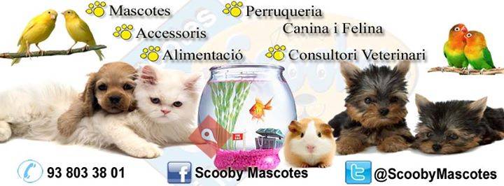Scooby Mascotes