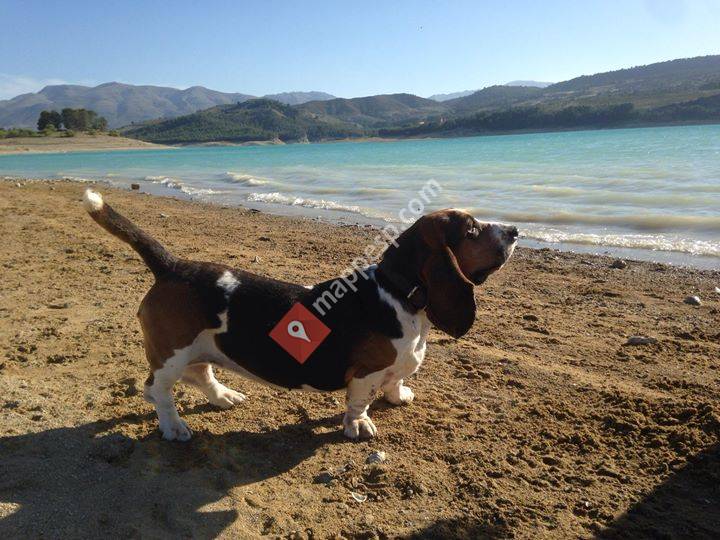 Senda Canina