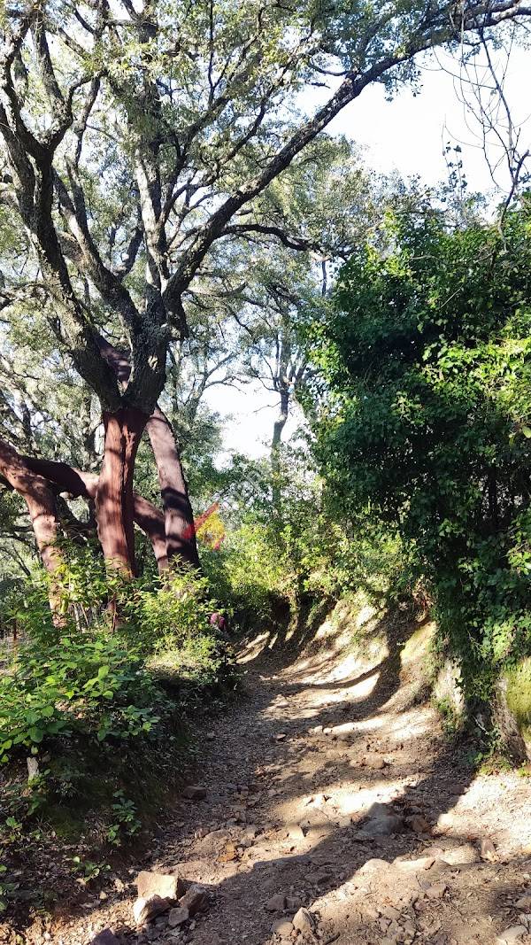 Sendero Galaroza-Fuenteheridos
