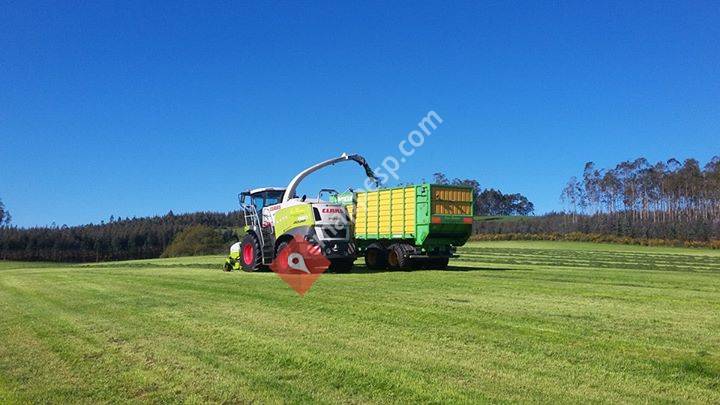 Servicios agrícolas y forestales Iván Tembrás s.l
