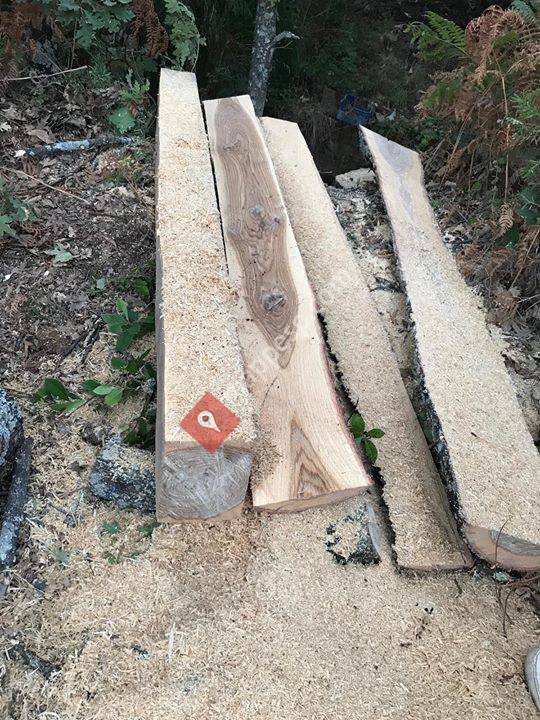 Servicios de Serreria y trabajos forestales