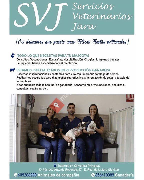 Servicios Veterinarios 