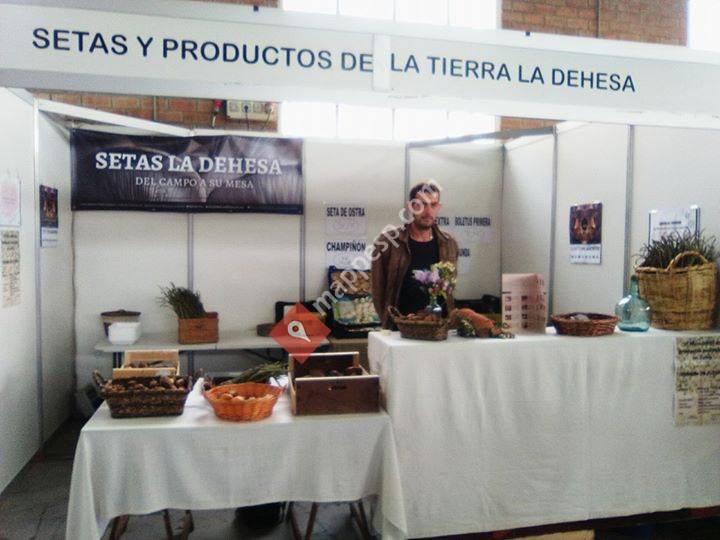 Setas Y Productos De La Tierra La Dehesa